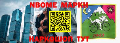 СК Новодвинск
