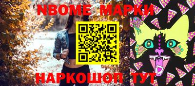 СК Новодвинск