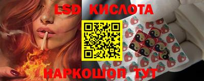 СК Новодвинск