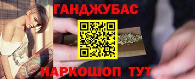 СК Новодвинск