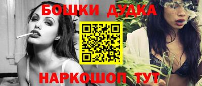 СК Новодвинск