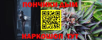 СК Новодвинск