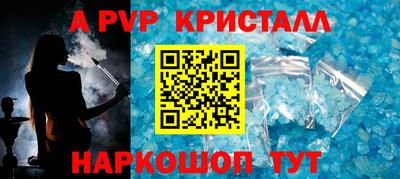 СК Новодвинск