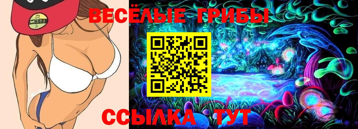 Галлюциногенные грибы Cubensis Аша