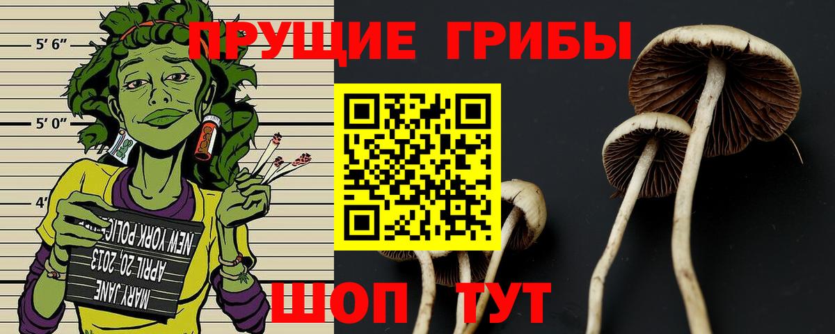 Аша  Псилоцибиновые грибы Magic Shrooms  Галлюциногенные грибы Psilocybe  купить закладку  Вход с VPN 